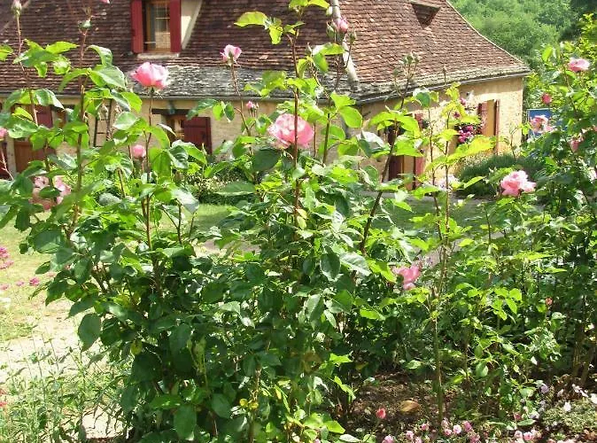 La Guelta Dom wakacyjny